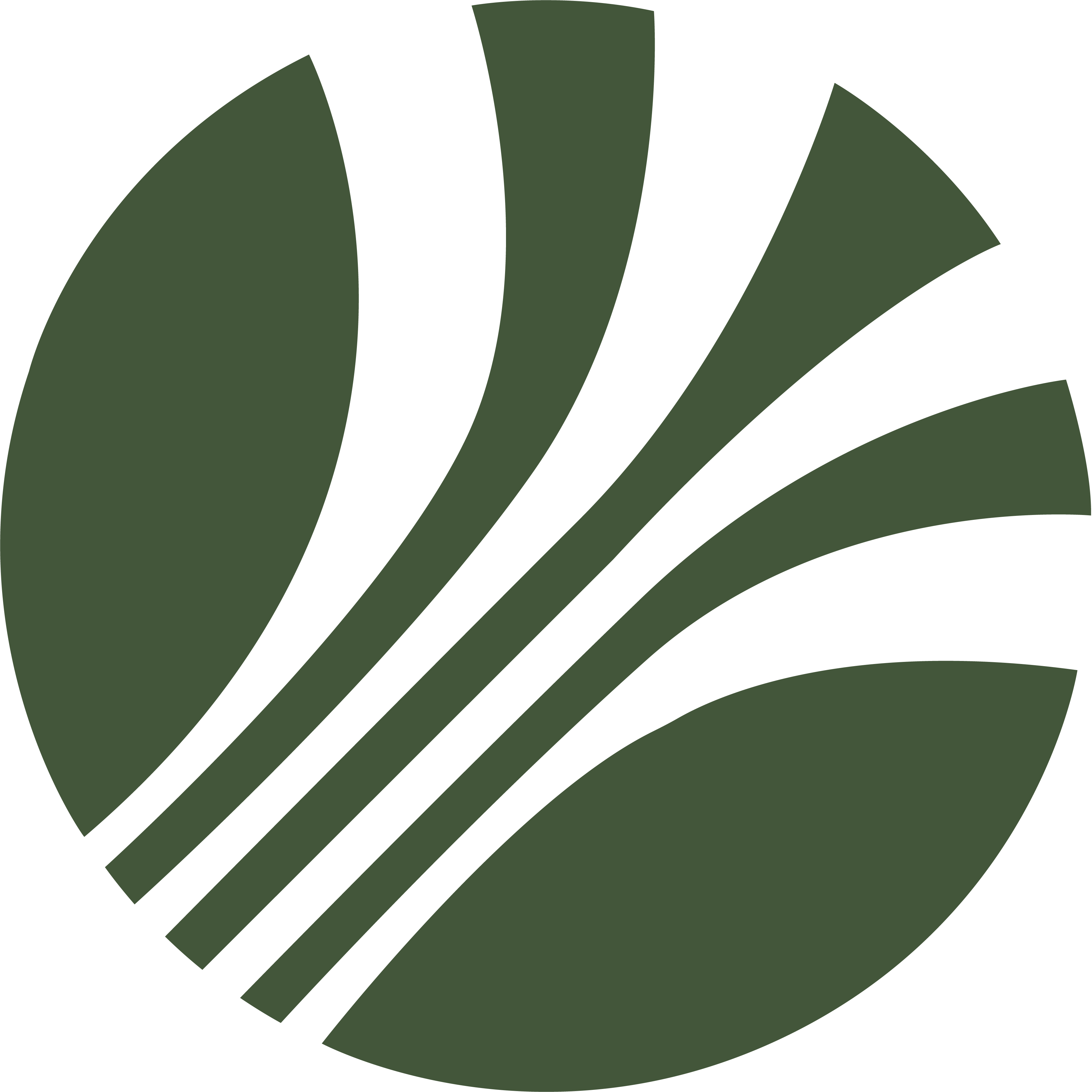 ООО "ТАЛОСТРАНС"