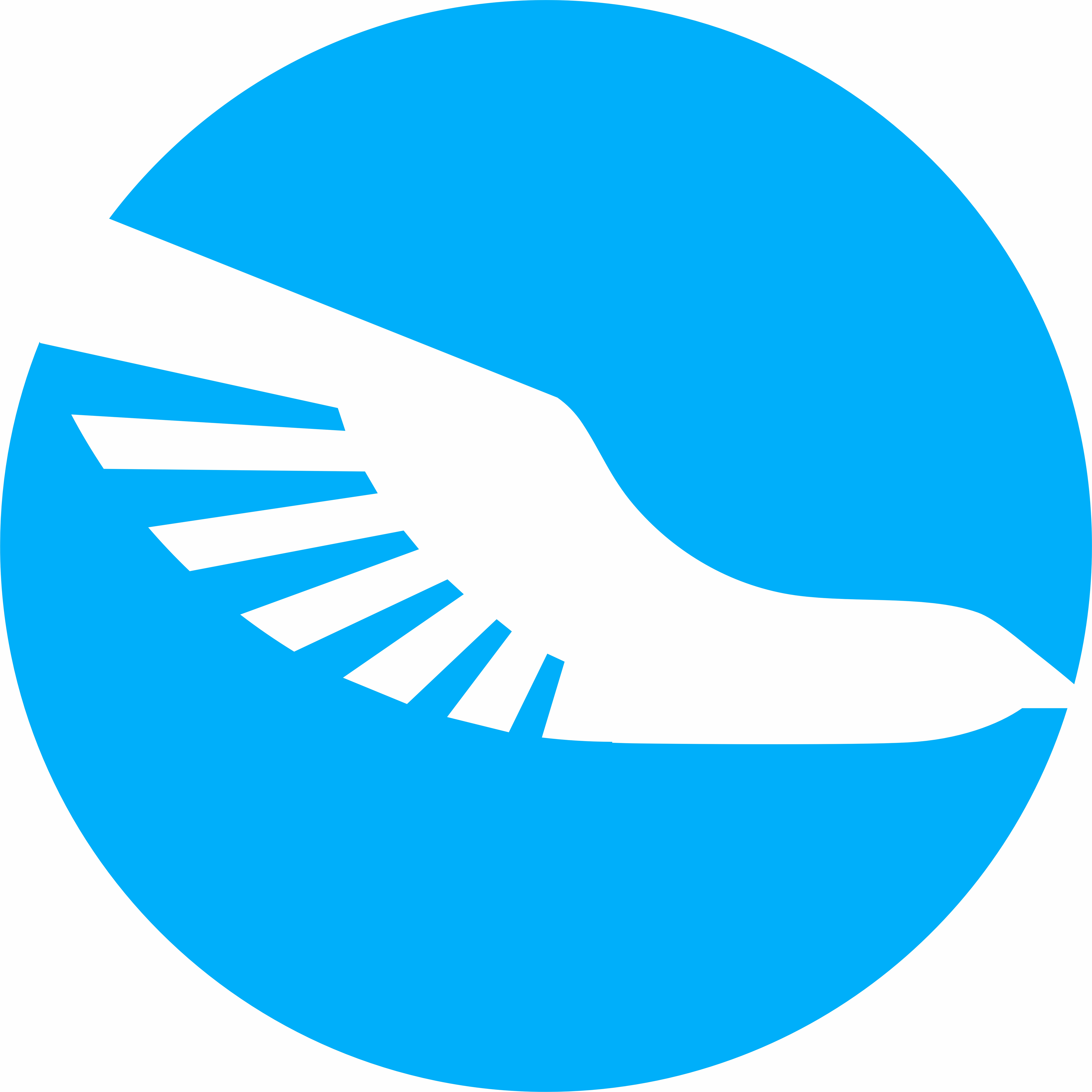 ООО "Скай Карго Сервис"