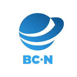 ООО "БигКарго-Н"