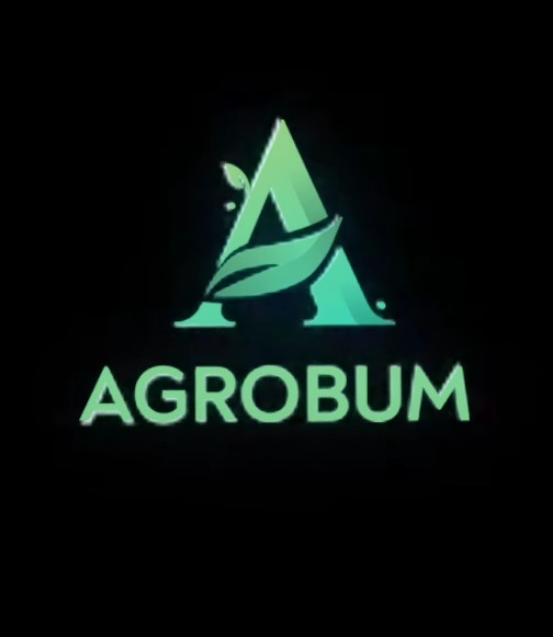 ООО АгроБум, Международная таможенно- логистическая компания по доставке грузов из Китая.