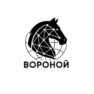 ВОРОНОЙ